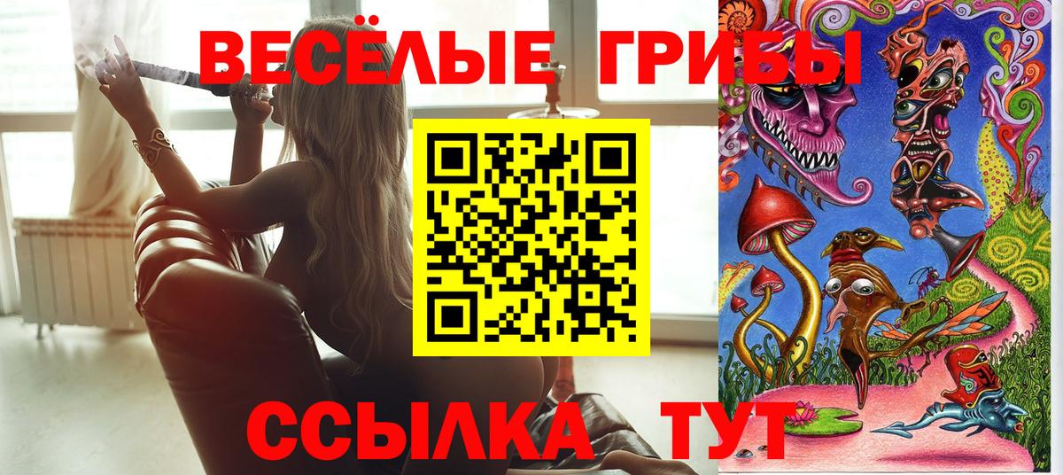 Псилоцибиновые грибы Psilocybe Щёлково