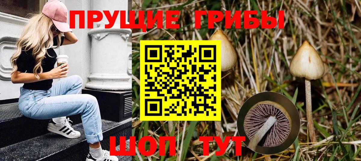 Псилоцибиновые грибы MAGIC MUSHROOMS  Вход с VPN  Щёлково 